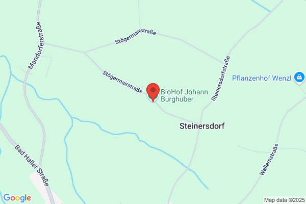 Burghuber und Raindl OEG