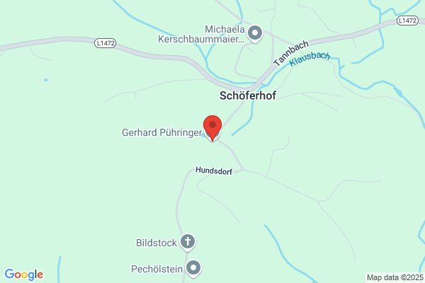 Puehringer Holding GmbH