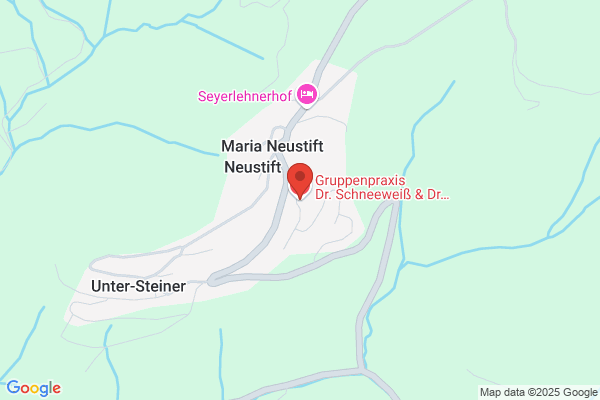 Schneeweiss Bruno Univ Prof Prim Dr