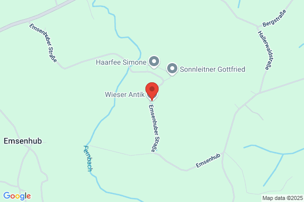 Wieser GesmbH