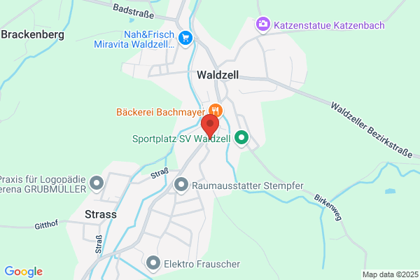 Freiwillige Feuerwehr