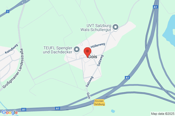 Gasthaus Goiserwirt