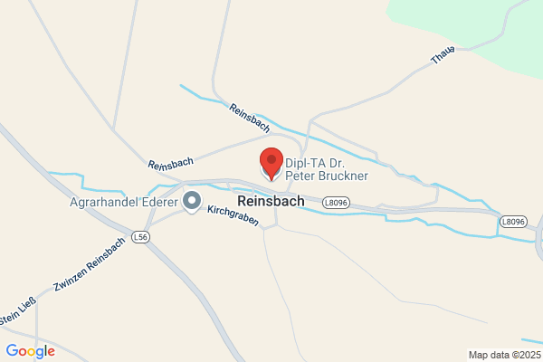 Bruckner Peter Dipl-TA Dr
