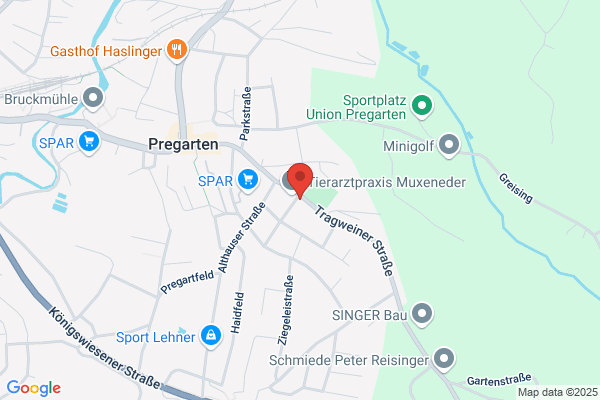Oesterreichische Rettungshundebrigade Landesleiter Tirol