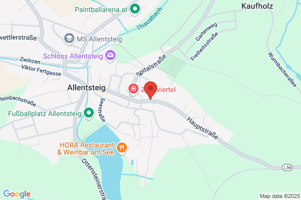 Gasthaus Waldviertler Pub
