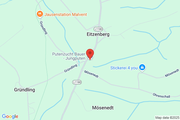 Putenzucht Bauer - Jungputen