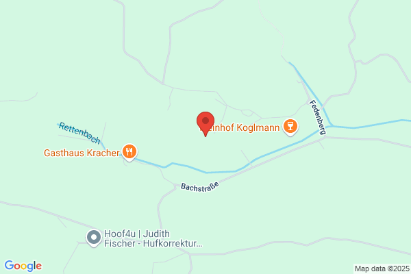 PANNER und ANGERBAUER GESMBH