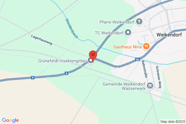 Dkfm. Gerda Veit