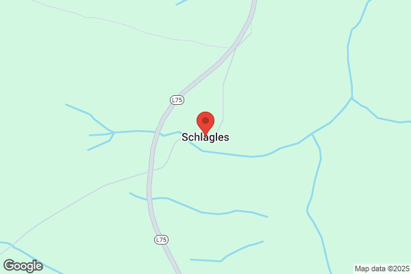 Leo Schartlmueller