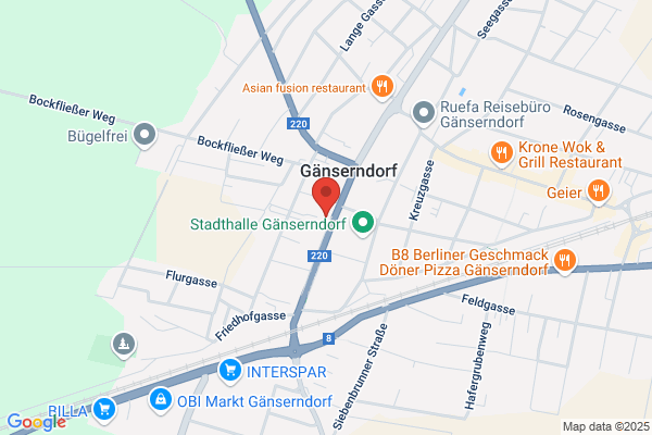 Psychosozialer Dienst Gaenserndorf