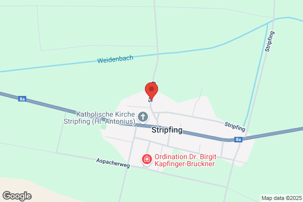 SV Stripfing