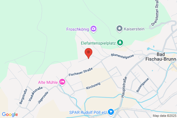 Fachinstitut fuer Massage Dagmar Braun-Holzer