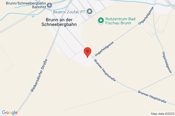 Freiwillige Feuerwehr Brunn
