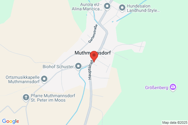 Freiwillige Feuerwehr Muthmannsdorf