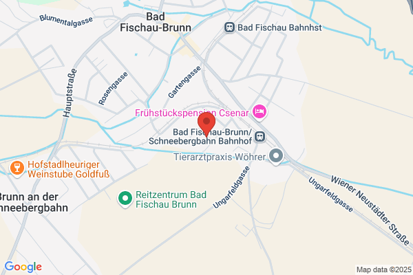 Massagefachinstitut Hanni