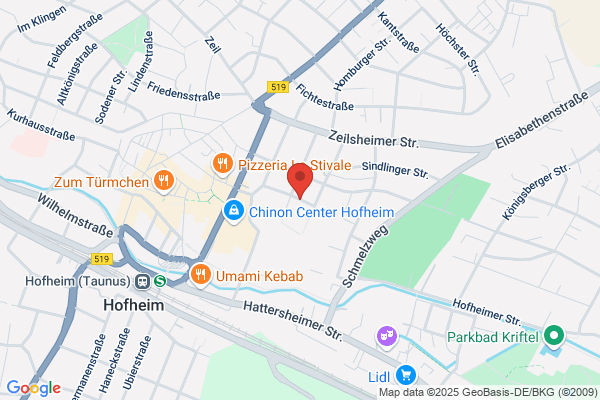 ing buero laengle - Planungsbuero f Biomasse- Heiz(kraft)werke