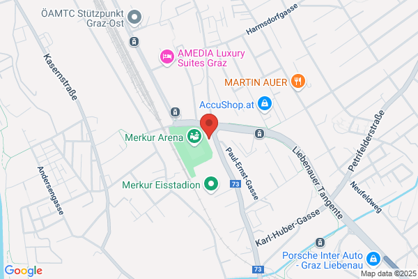 Berufsdetektive Molcik R