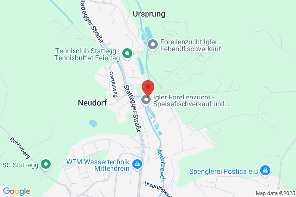FC Koenig Stattegg