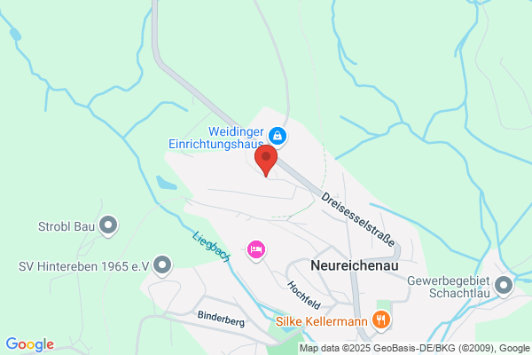 Weidinger und Kohlmaier OEG