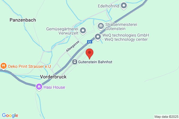 DARI-Networx Services Grabenweger und Schmoegner OEG