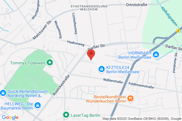SG Steinfeld/Drau- Nordisch A. Rauter