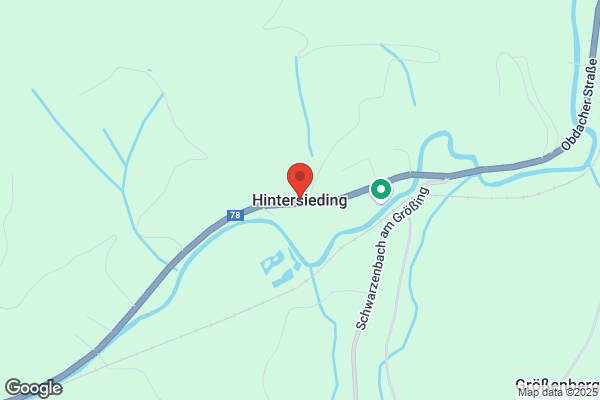 Fahnenschwinger
