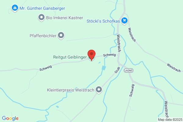 Reitverein Hengstreith Reitsportanlage Baumgartner