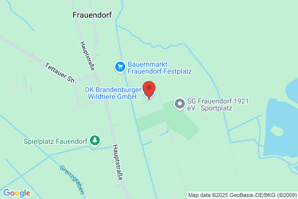 Brandner und Wilfinger OEG