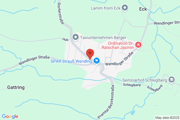 TSU Wendling Anton Feischl