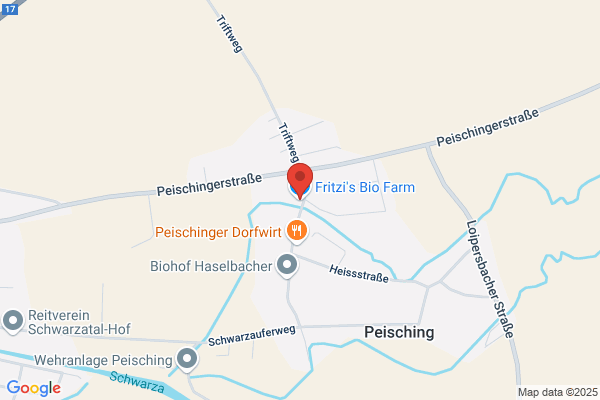 Fritz Pfuisi