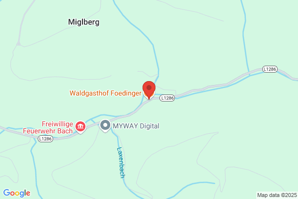 BUCHEGGER und DOERFEL OEG