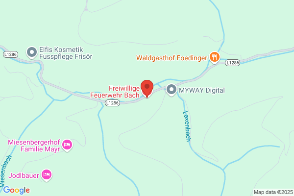 Freiwillige Feuerwehr
