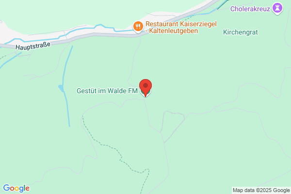 Reit- u Zuchtstall Mayer