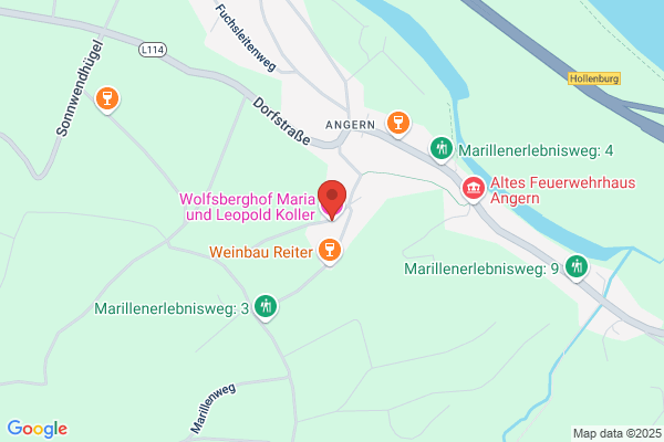 Wolfsberghof - Maria u Leopold Koller