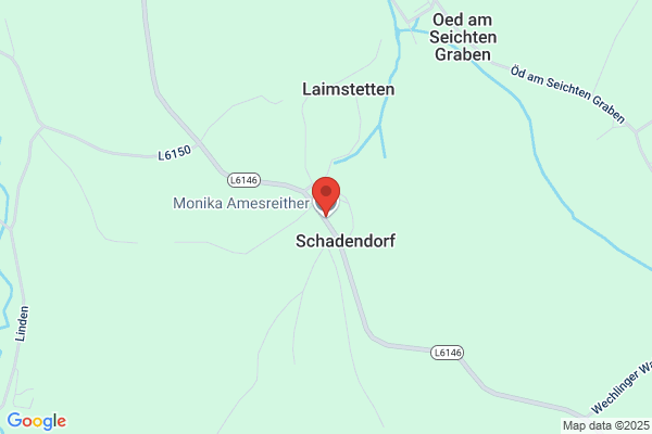 Amesreither Monika