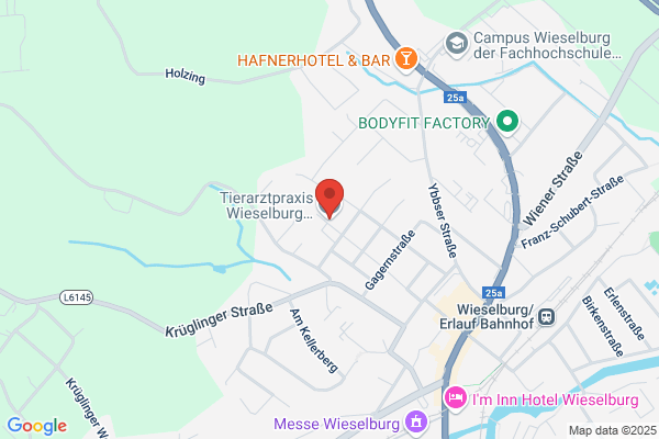 Voesenhuber Sepp Dipl-TA Mag