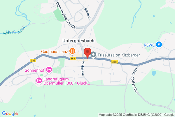 Trachtengruppe - Goldhauben