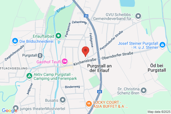 Expert Fallmann