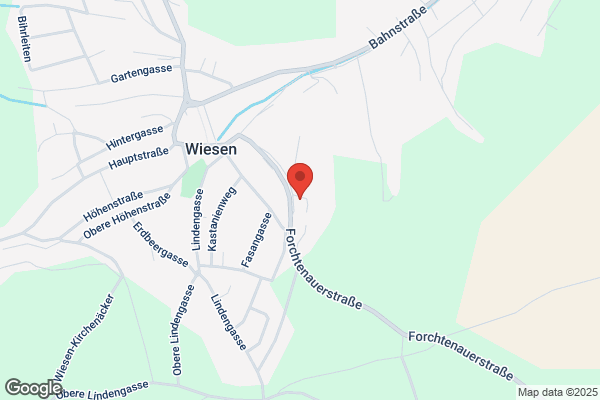 Musikverein Wiesen