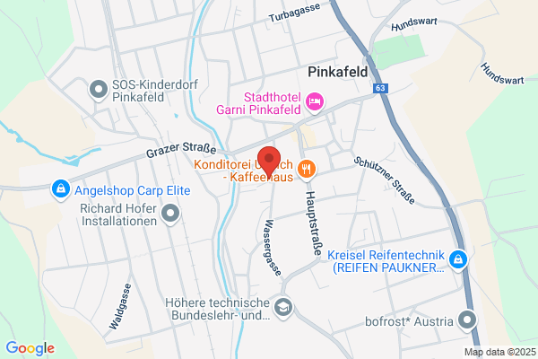 Pinkafelder Elektrizitaetswerke GesmbH