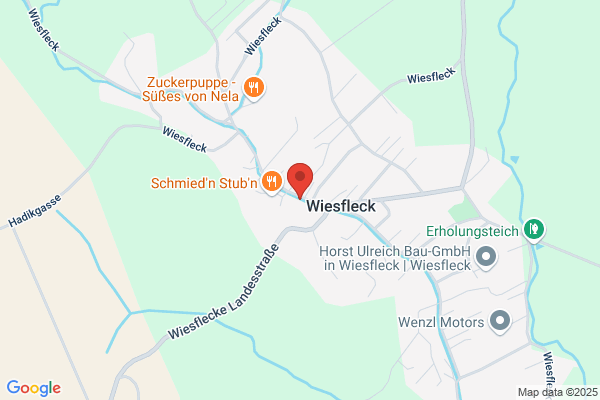 TV Wiesfleck