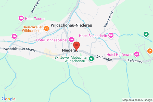 Schischule Aktiv Niederau