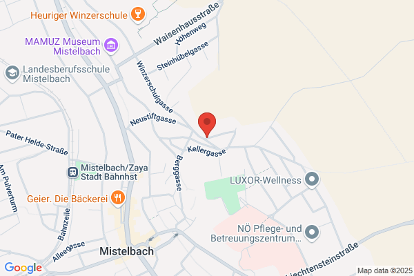 HEW Steuerberatungs u Wirtschaftstreuhand GmbH