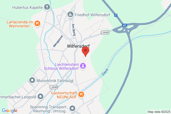 Stiftung Fuerst Liechtenstein