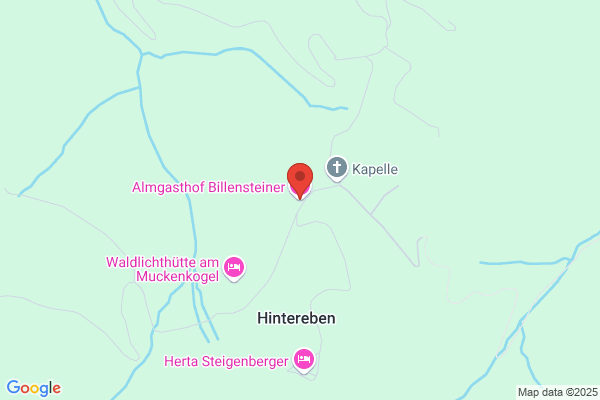 Billensteiner GesmbH