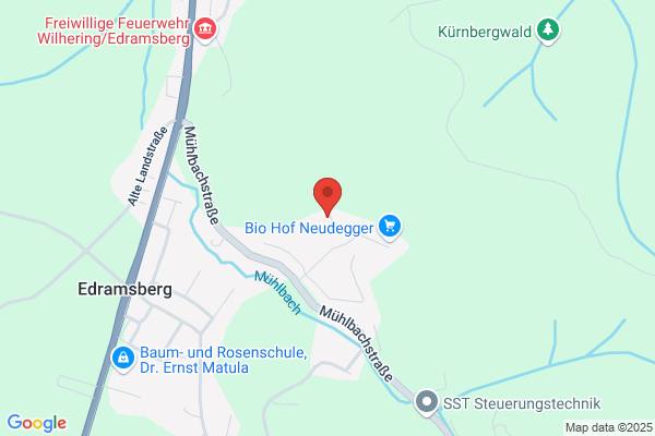 Blue Morpho Development GmbH