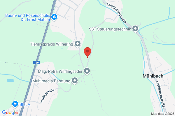 Christa Mayr