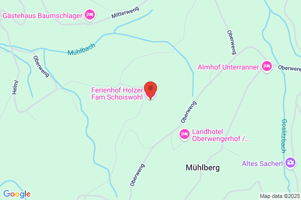 Ferienhof Holzer Fam Schoiswohl