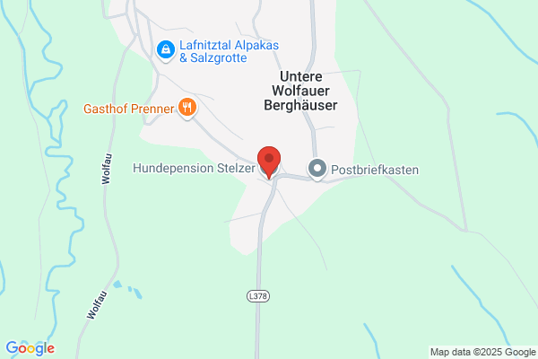Hundepension Stelzer