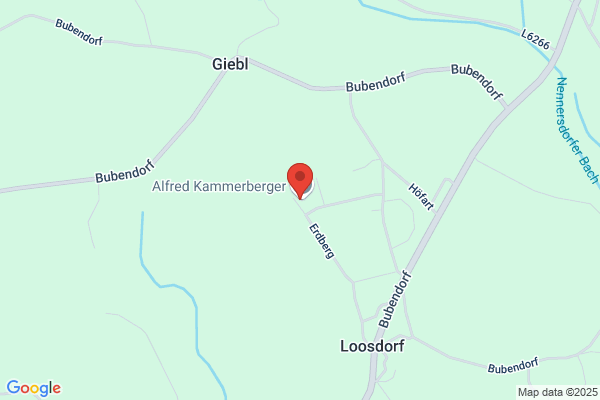 Kammerberger Alois